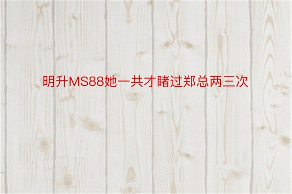 明升MS88她一共才睹过郑总两三次